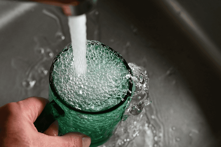 Water Quality Testing